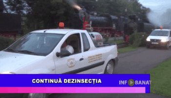 Continuă dezinsecția