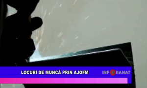 Locuri de muncă prin AJOFM