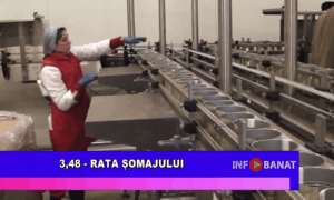 3,48 – rata șomajului