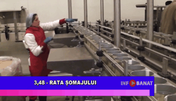 3,48 – rata șomajului