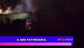 A ars patinoarul