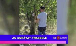 Au curățat traseele