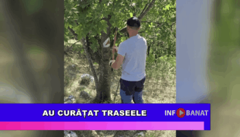 Au curățat traseele