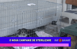O nouă campanie de sterilizare