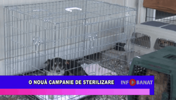 O nouă campanie de sterilizare