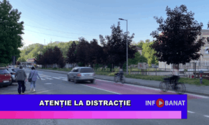 Atenție la distracție