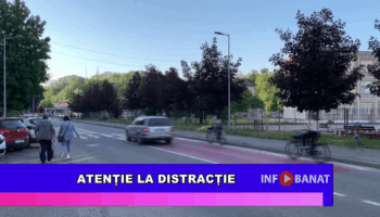 Atenție la distracție