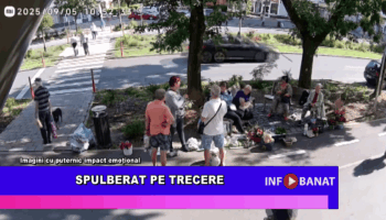 Spulberat pe trecere