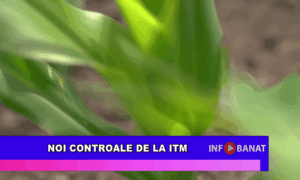 Noi controale de la ITM
