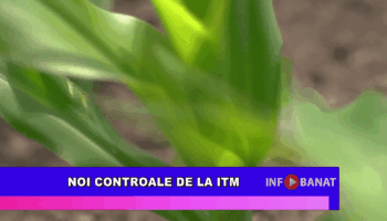 Noi controale de la ITM