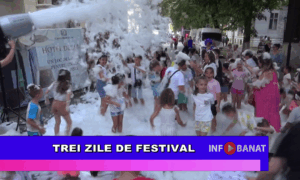 Trei zile de festival