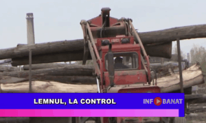 Lemnul, la control