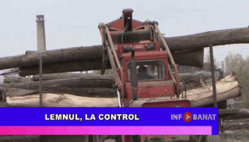 Lemnul, la control