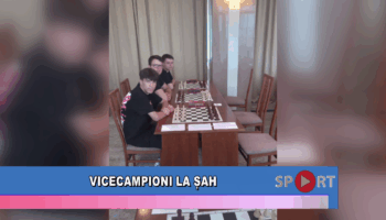 Vicecampioni la șah