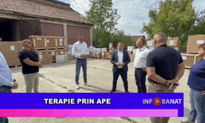 Terapie prin ape
