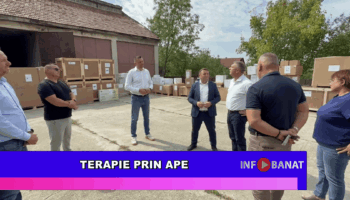 Terapie prin ape