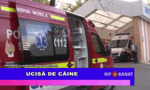 Ucisă de câine