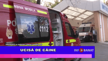 Ucisă de câine