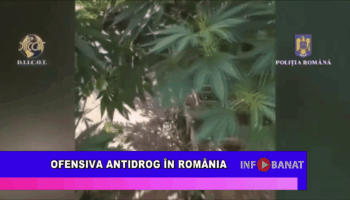 Ofensiva antidrog în România