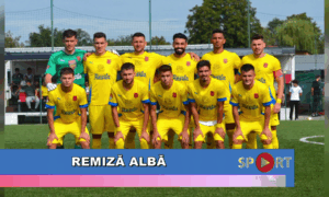 Remiză albă