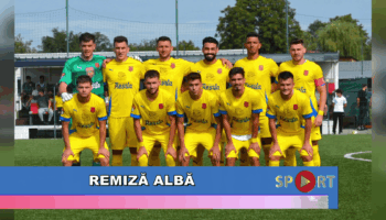 Remiză albă