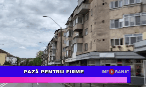 Pază pentru firme