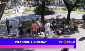 Pietonul a decedat