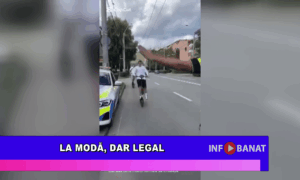 La modă, dar legal