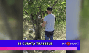Se curăță traseele