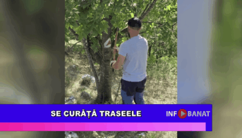 Se curăță traseele