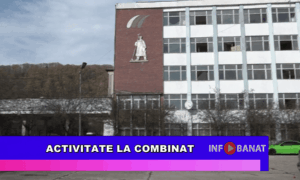 Activitate la combinat