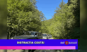 Distracția costă!