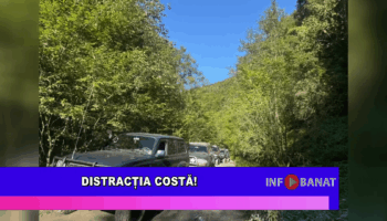 Distracția costă!