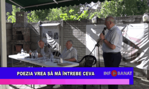 Poezia vrea să mă întrebe ceva