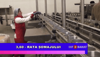 3,60 – rata șomajului