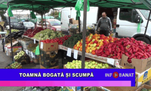Toamnă bogată și scumpă
