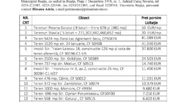 Vânzare prin licitație publică