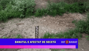 Banatul e afectat de secetă