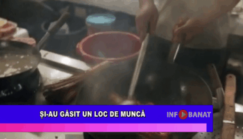 Și-au găsit un loc de muncă