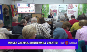 Mircea Cavadia, dimensiunile creației