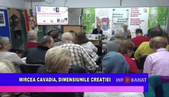 Mircea Cavadia, dimensiunile creației