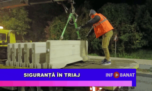 Siguranță în Triaj