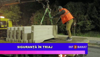 Siguranță în Triaj