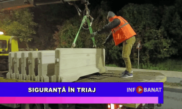 Siguranță în Triaj