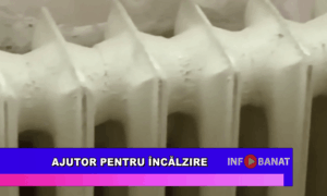 Ajutor pentru încălzire