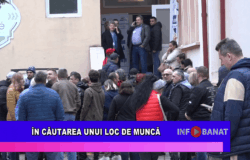 În căutarea unui loc de muncă