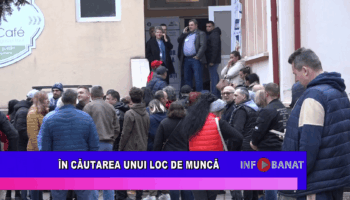 În căutarea unui loc de muncă
