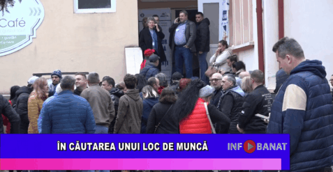 În căutarea unui loc de muncă