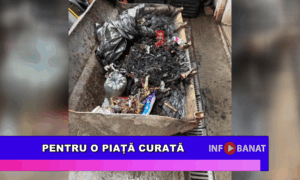 Pentru o piață curată