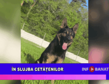 În slujba cetățenilor